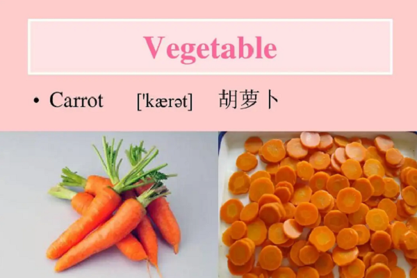 vegetabe英语怎么读