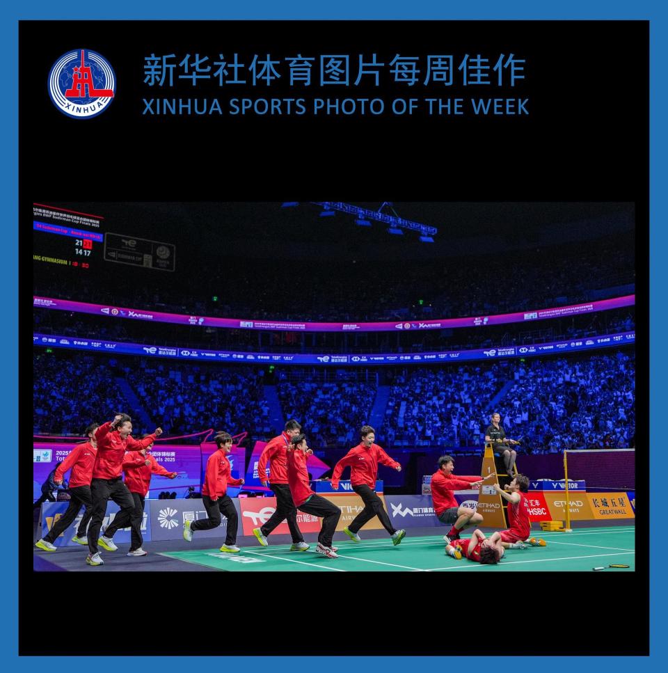 爱游戏体育网页版APP相关图片