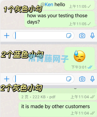 whatsapp聊天翻译中文
