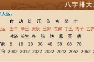 姓名名典