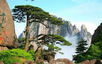 黄山seo排名哪里好汇总:黄山镇seo快排素材