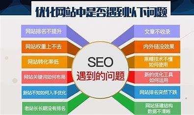 魔贝seo流量课程导读:seo流量优化|2024年06月新更
