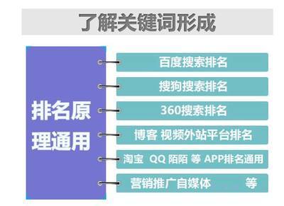关键词优化品牌公司排名详解:关键词推广优化排名|2024年07月更新