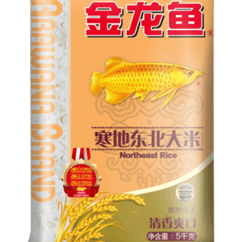 天天在家看魚魚