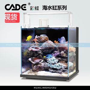 赤荔鳳冠魚屬于什么品種（赤荔鳳冠魚屬于什么品種的魚）