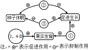 月季花面的制作方法