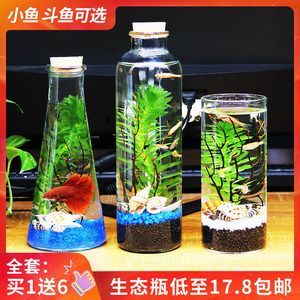 榆林水族店（榆林哪里有水族）