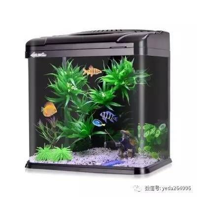 衡陽魚缸售后維護(hù)電話號(hào)碼是多少（衡陽魚缸售后維護(hù)電話號(hào)碼是多少號(hào)）