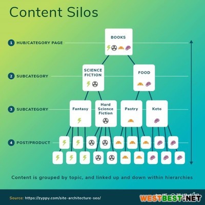 seo页面结构大揭秘:seo短视频网页入口营销|2024年07月已更新