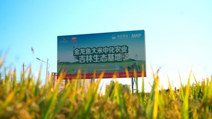 北京市海淀區(qū)遠(yuǎn)大廣源工藝品市場(chǎng)姜梓超水族用品店