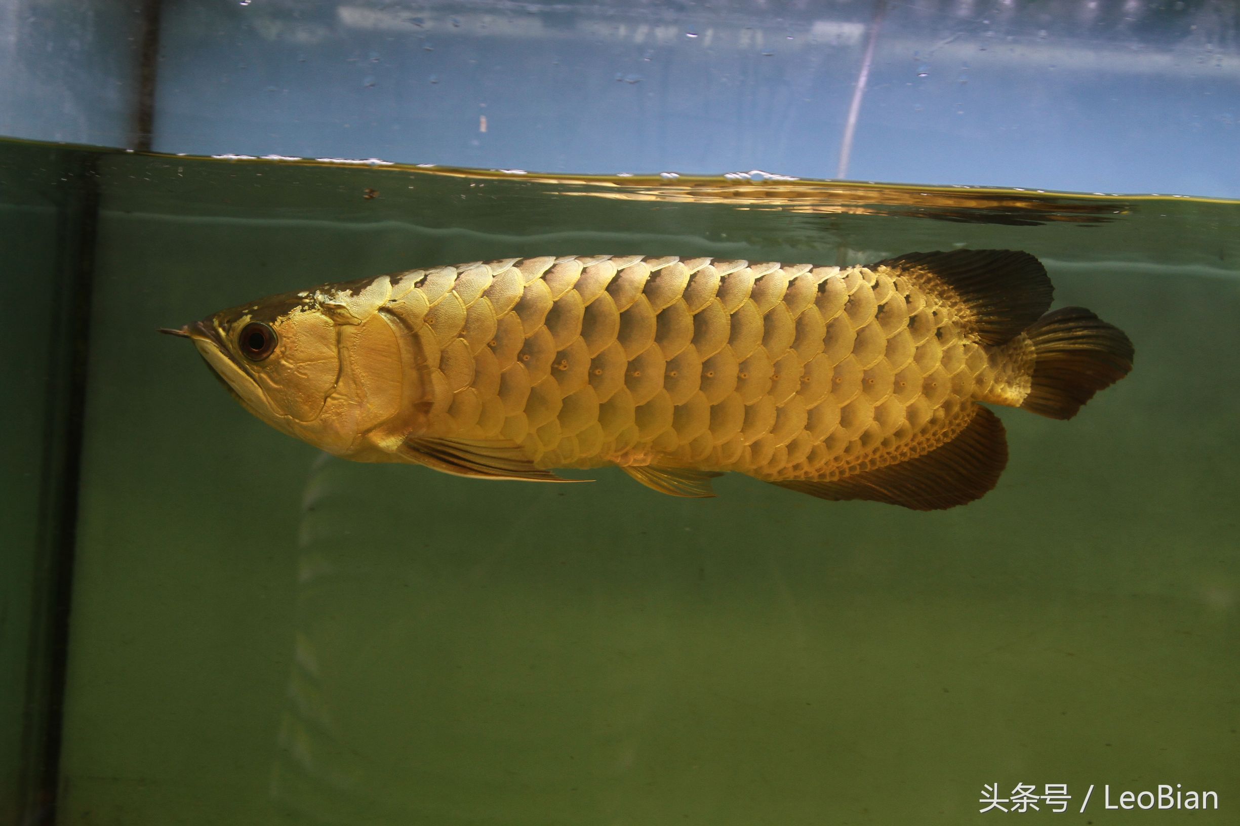 張家界水族館