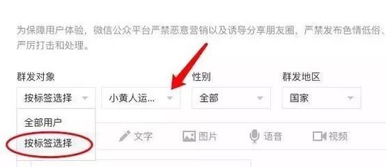 大连seo外链群发导读:seo外链网站|2024年07月新更