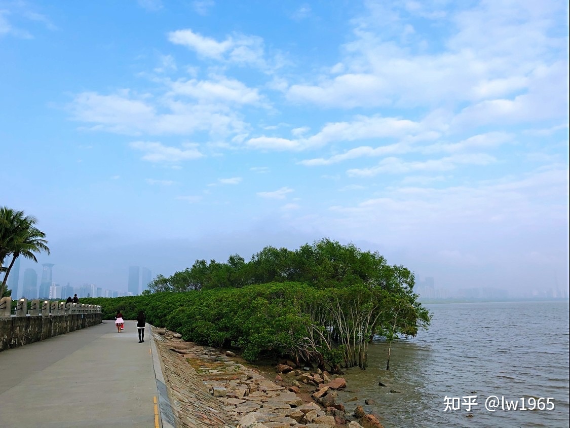 去深圳的3天，后悔没早点来