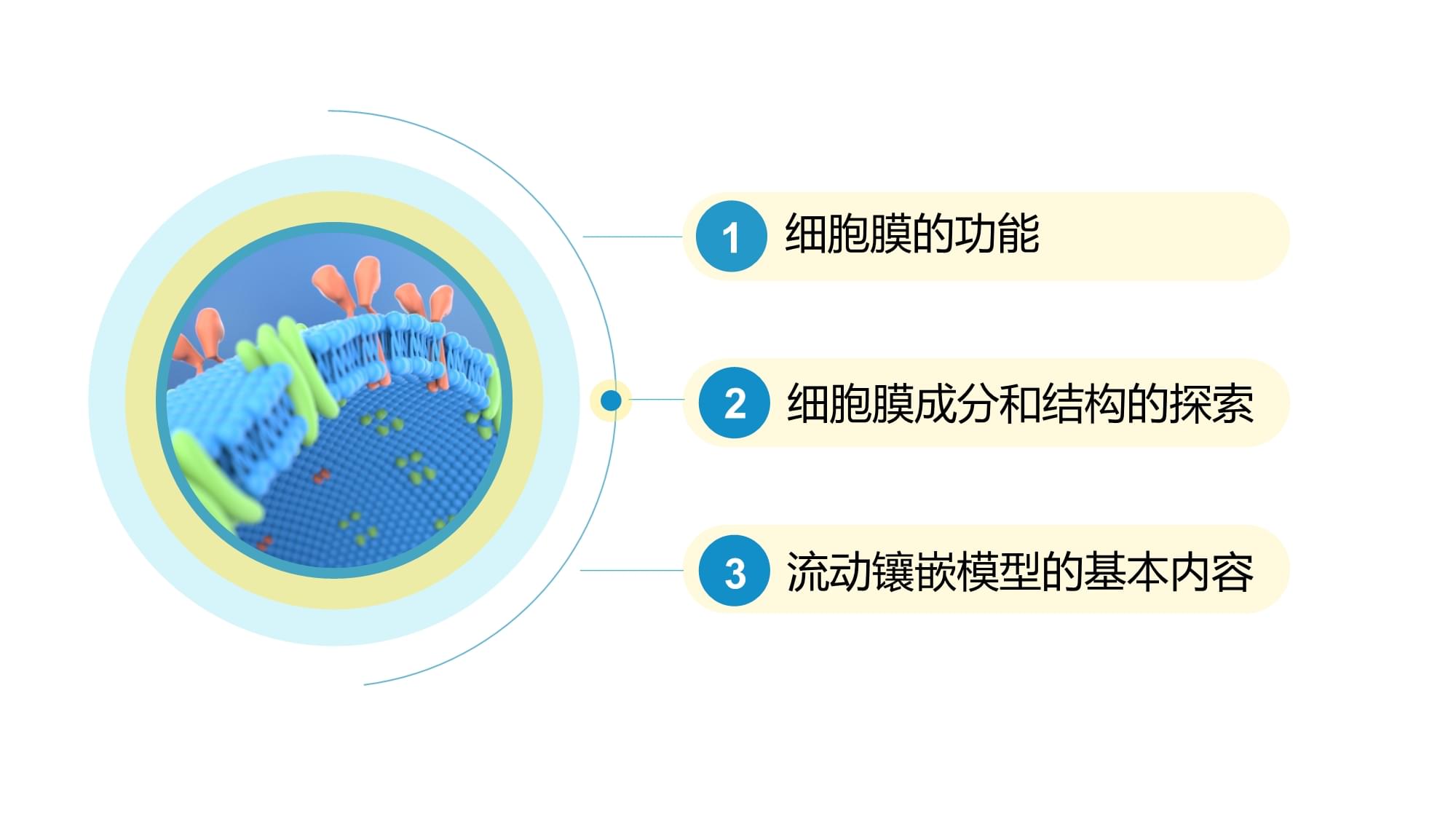 【高中生物】细胞膜的结构和功能-备战+高考生物大一轮复习精讲课件+