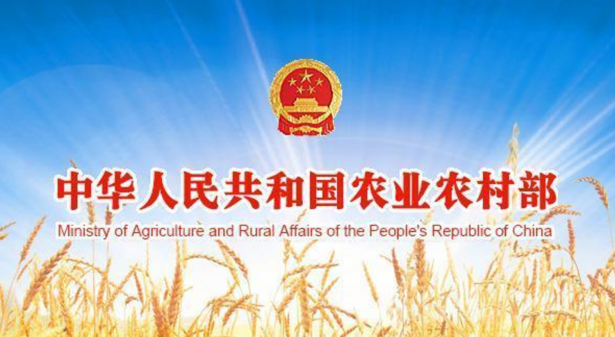 农业农村部部长韩俊：蔬菜、畜禽、水产品等当家品种立足国内有保障
