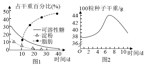 测量水的温度作文怎么写