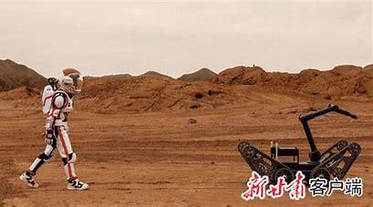 金昌seo公司首选3火星详解:四叶草m码和欧洲码的区别|2024年07月更新