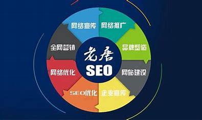 周口seo优化方案导读:seo优化推广方案|2024年07月新更