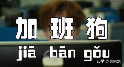 小白要不要转行seo汇总:零基础转行seo|2024年07月素材