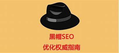 杭州黑帽seo(黑帽seo快速排名)
