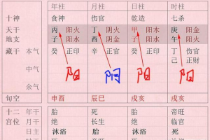 八字中食神是什么意思