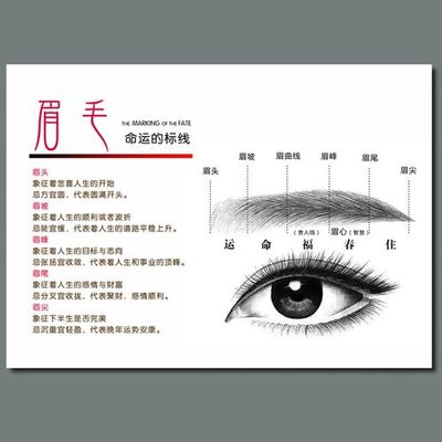 眉毛与命运