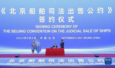 关于船舶所有权的国际公约
