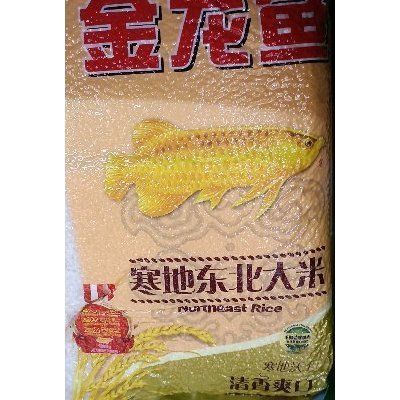 觀賞魚論壇：觀賞魚論壇哪個(gè)好 鴨嘴鯊魚