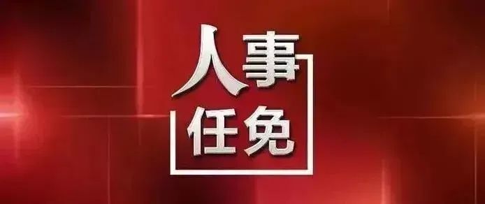 宝博体育电竞体育2026全球技术峰会现场