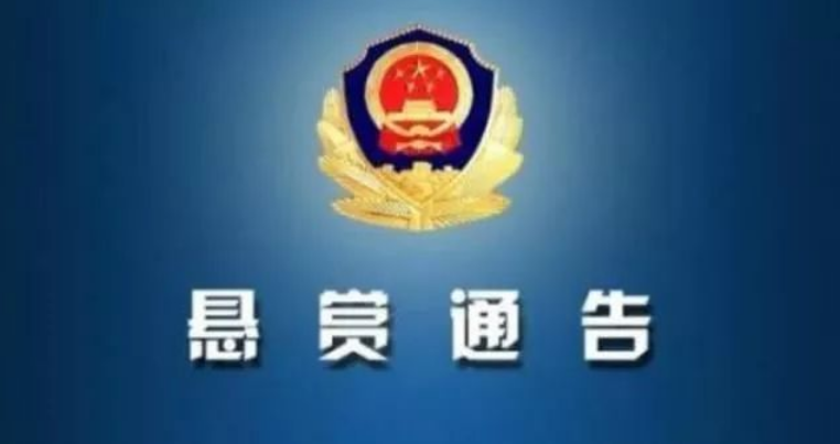 皇冠新二手机网发布会现场图片