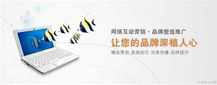 益阳产品网络推广seo详解:seo推广运营价格|2024年06月更新