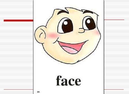 Identitycard英语怎么读