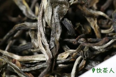 普洱适合用什么茶具泡