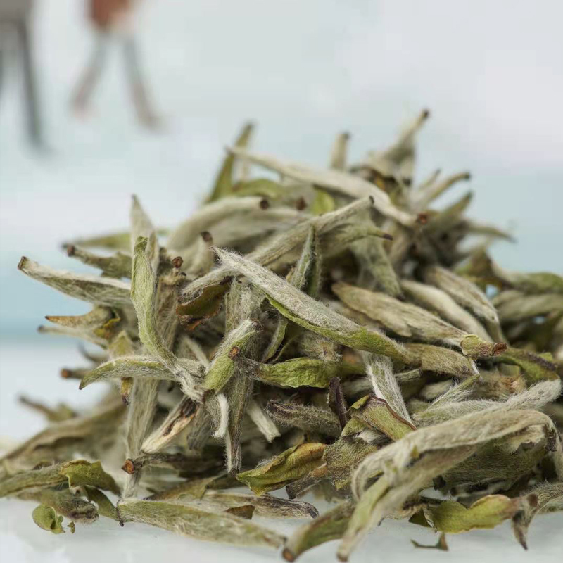 银针白茶