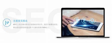 大渡口seo整站优化排名详解:卢镇seo网站优化排名|2024年06月更新