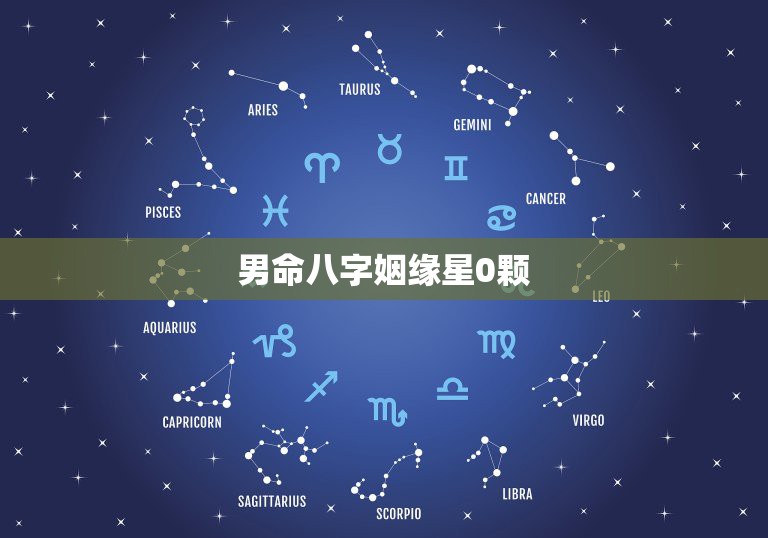 金星星座配对