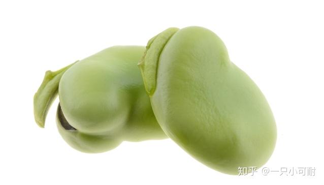 豆子发芽了能吃吗