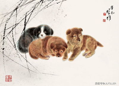 属狗十一月出生的命运