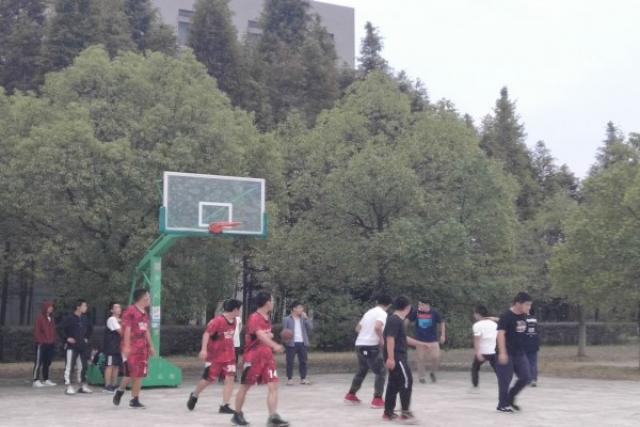 星空体育真人平台游戏推荐下载