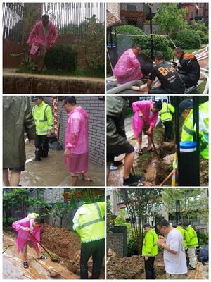 万科物业服务电话