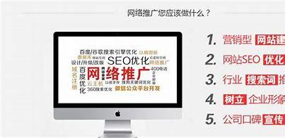 吴中seo网络优化推广(seo网站排名优化服务)