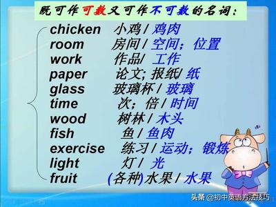 some chicken是可数还是不可数