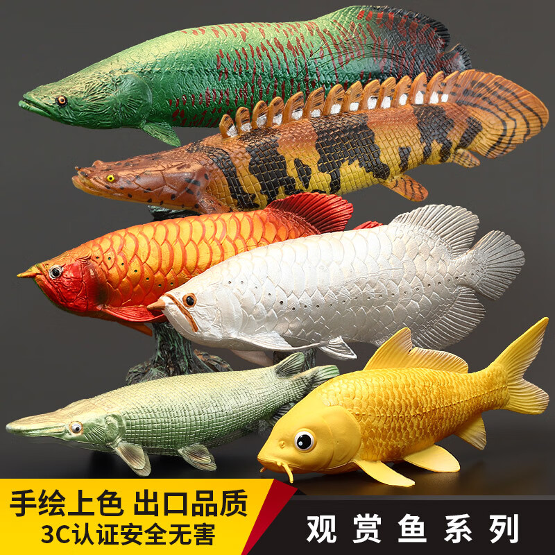 遂寧觀賞魚(yú)養(yǎng)殖公司有哪些品牌（遂寧觀賞魚(yú)養(yǎng)殖公司有哪些品牌的）