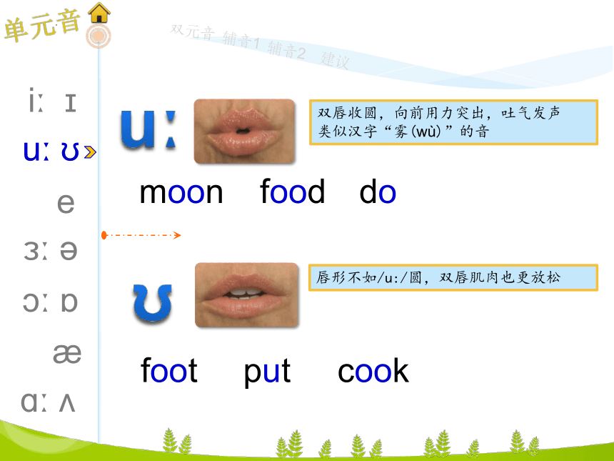 cook的读音发音音标怎么写的