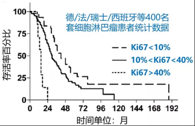 健康人ki67值是多少