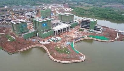 璧山区网站建设代运营汇总:1688代运营收费标准素材